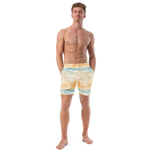 Men's swim trunks