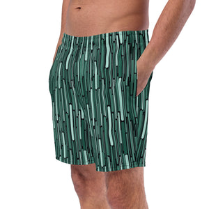 Men's swim trunks, Swim Wear for Men, Gift for dad, gift for him